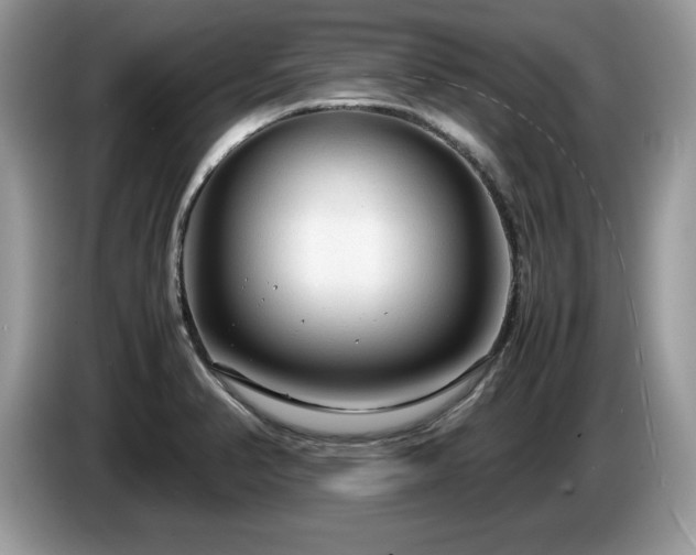 X0000087581374200704271257