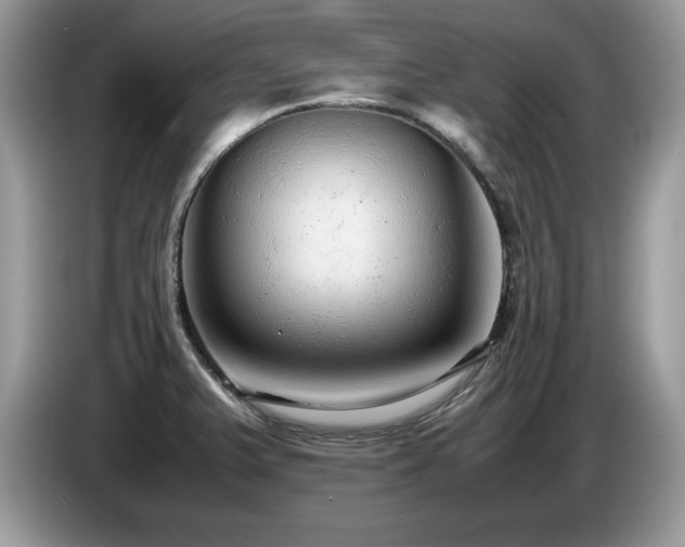 X0000087581375200704271257