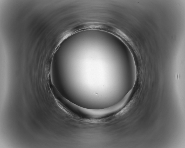 X0000087581377200704271257