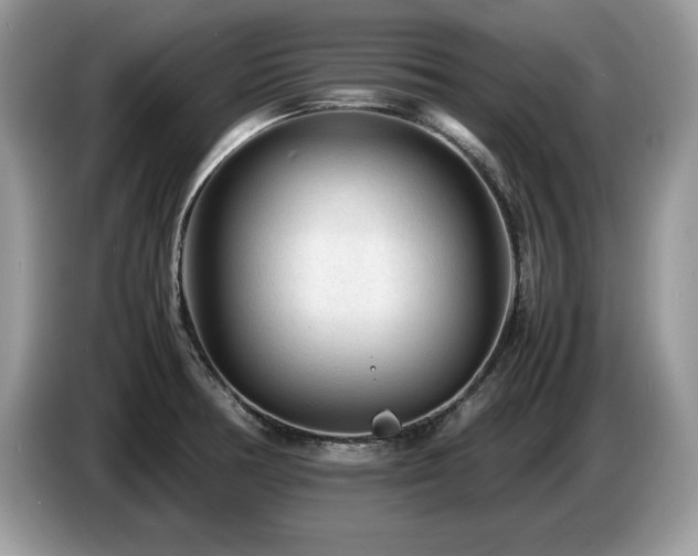 X0000087581378200704271257