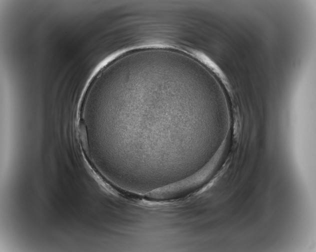 X0000087581380200704271257