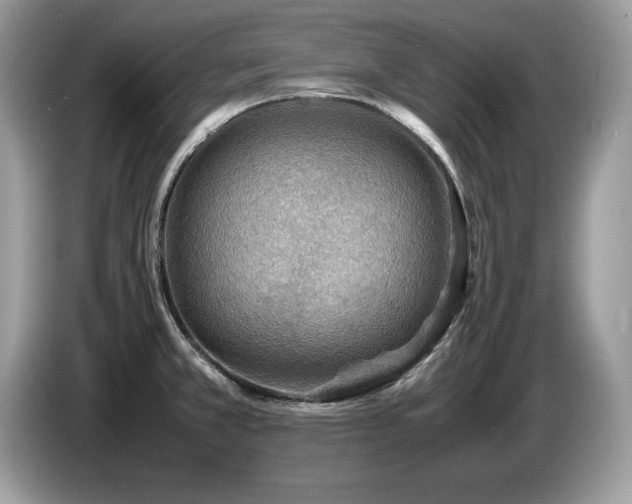 X0000087581381200704271257