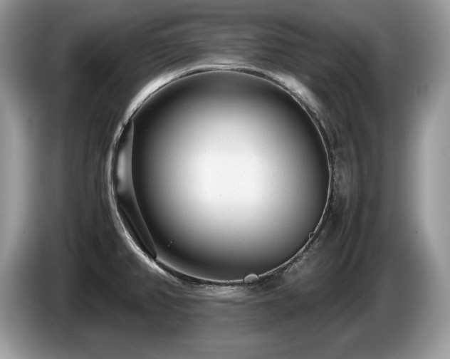 X0000087581382200704271257