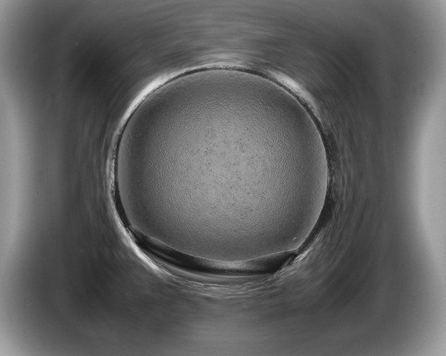 X0000087581383200704271257