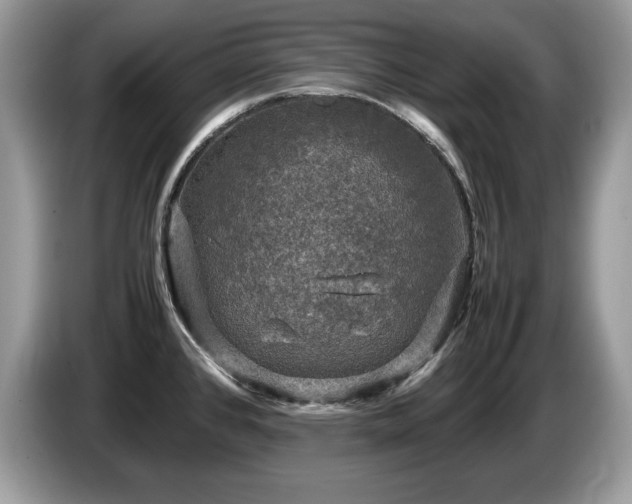 X0000087581384200704271257