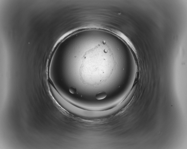 X0000087581388200704271257