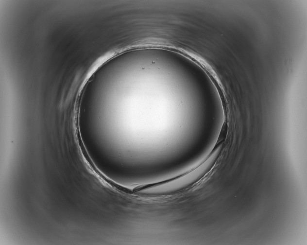 X0000087581390200704271257