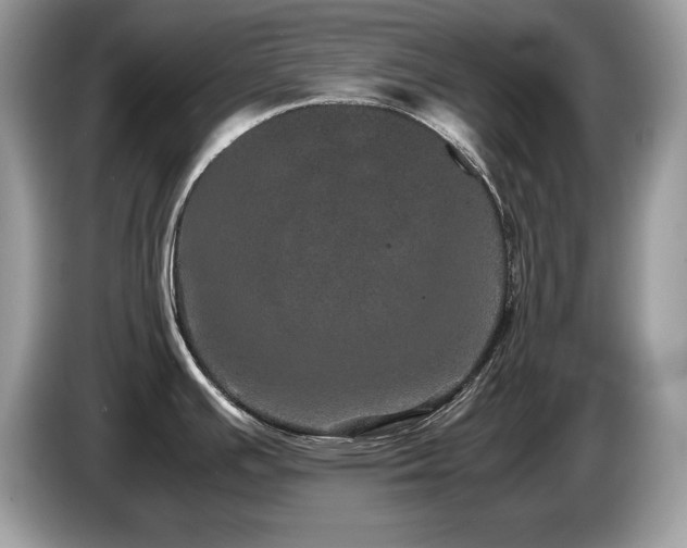 X0000087581391200704271257