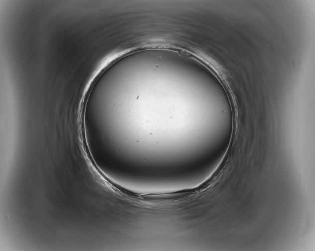 X0000087581392200704271257