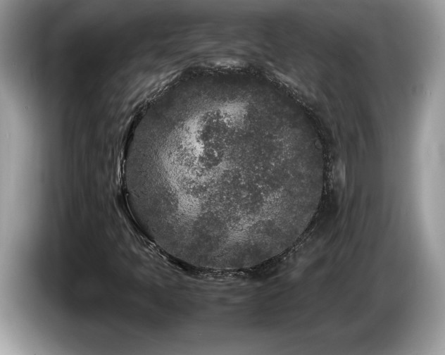 X0000087581397200704271257