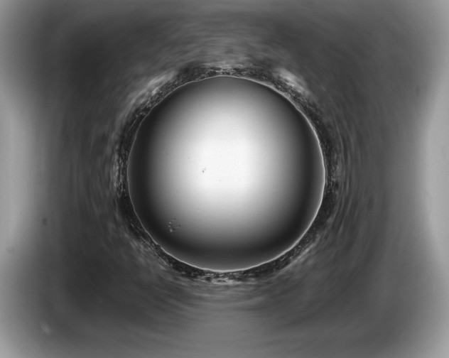 X0000087581398200704271257