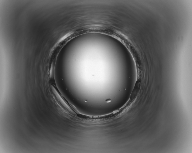 X0000087581402200704271257