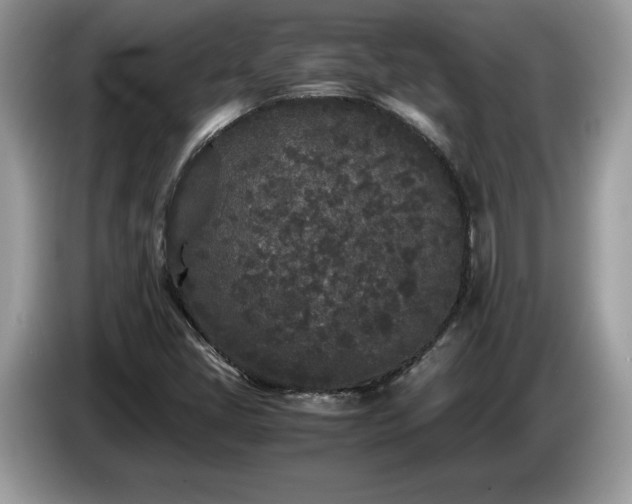 X0000087581405200704271257
