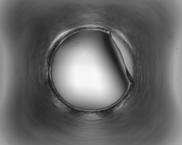 X0000087581408200704271257