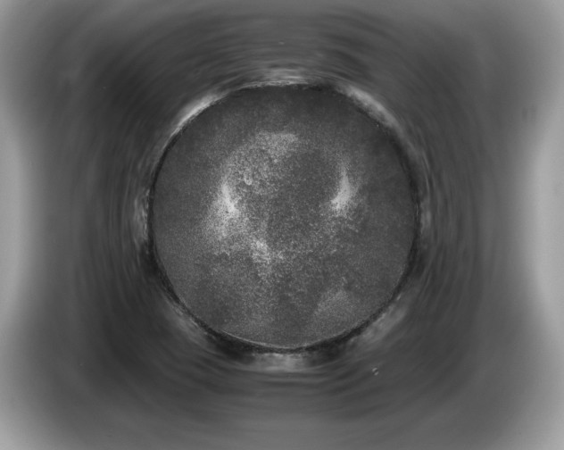 X0000087581409200704271257