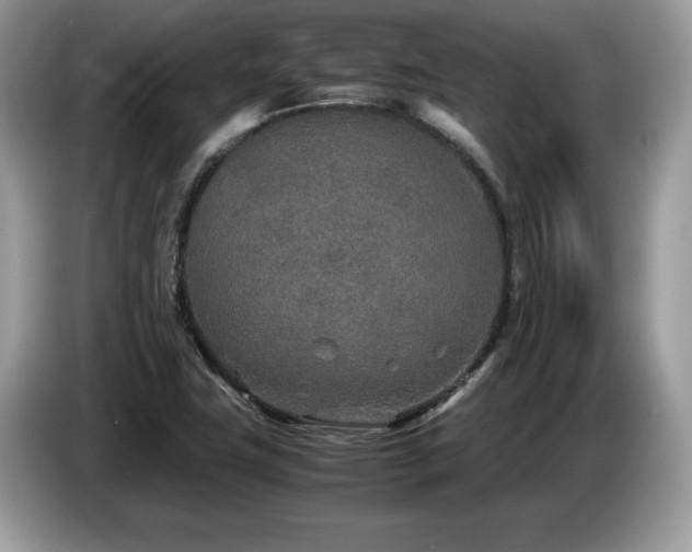 X0000087581411200704271257