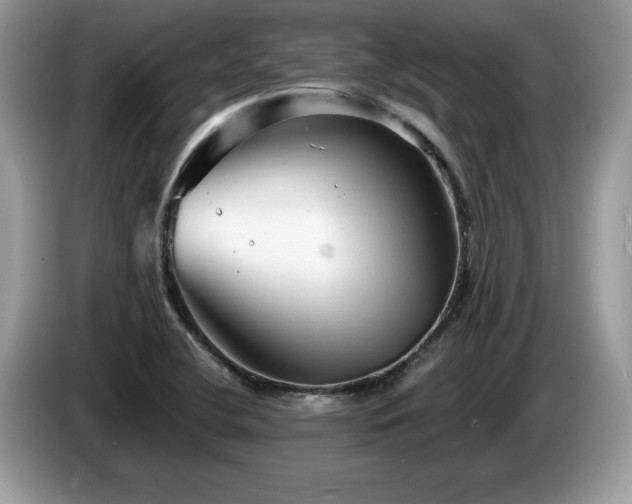 X0000087581412200704271257