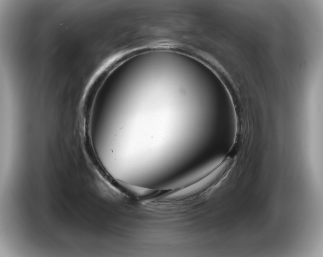 X0000087581414200704271257