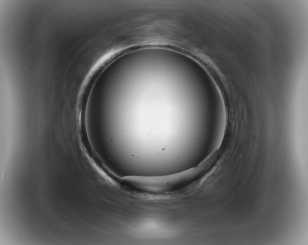 X0000087581416200704271257