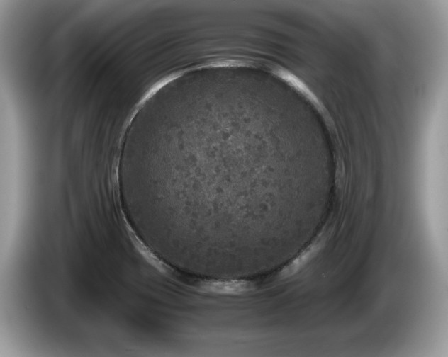 X0000087581417200704271257