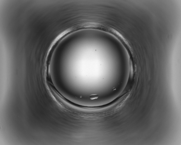 X0000087581418200704271257