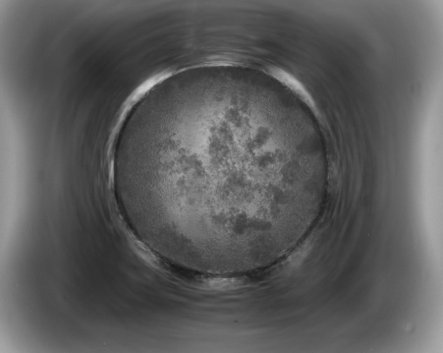 X0000087581419200704271257