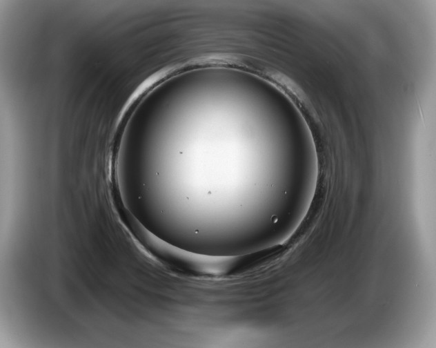 X0000087581420200704271257