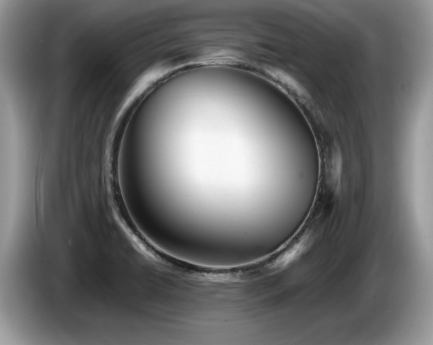 X0000087581422200704271257