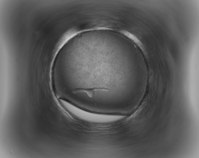 X0000087581423200704271257