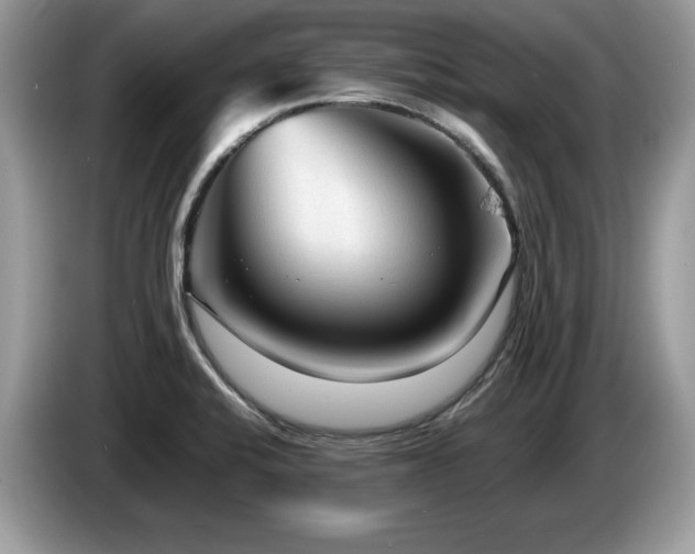 X0000087581424200704271257