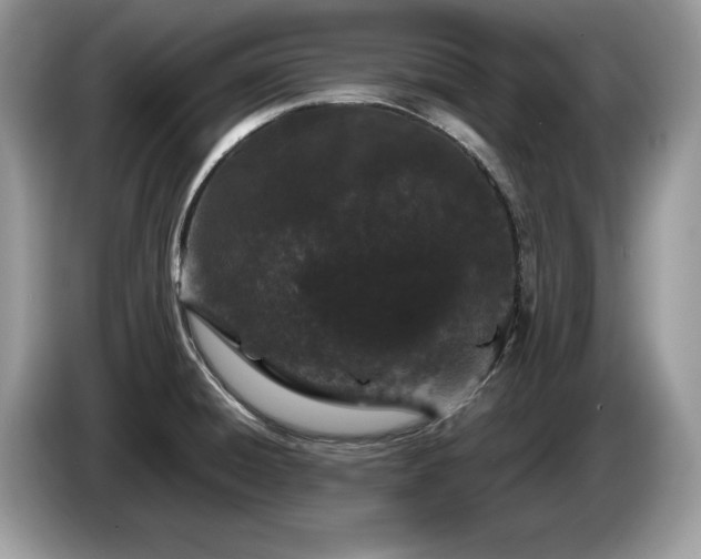 X0000087581428200704271257