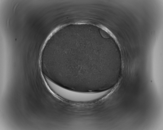 X0000087581429200704271257