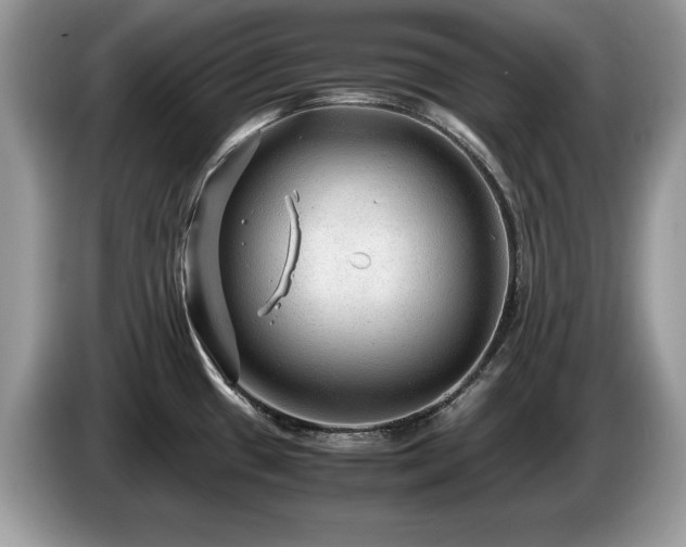 X0000087581433200704271257