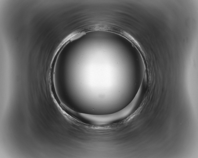 X0000087581434200704271257