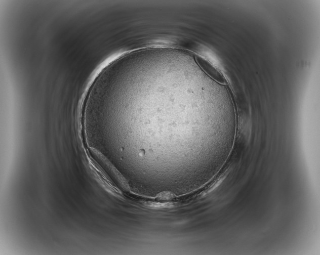 X0000087581435200704271257