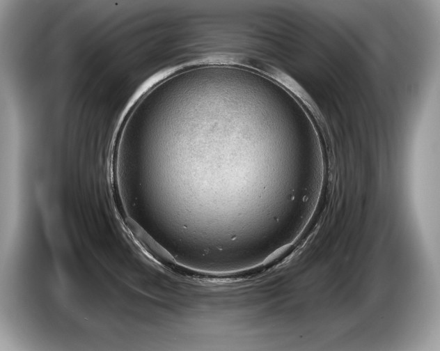 X0000087581436200704271257