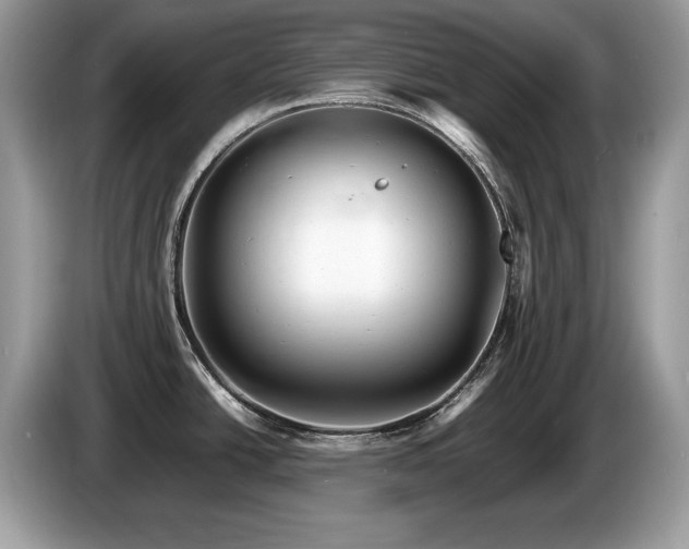 X0000087581438200704271257