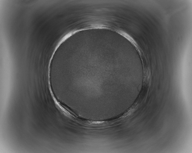 X0000087581439200704271257