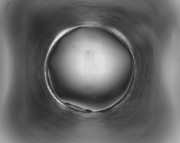 X0000087581440200704271257