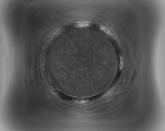 X0000087581441200704271257