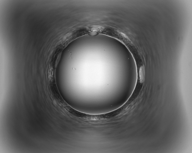 X0000087581443200704271257
