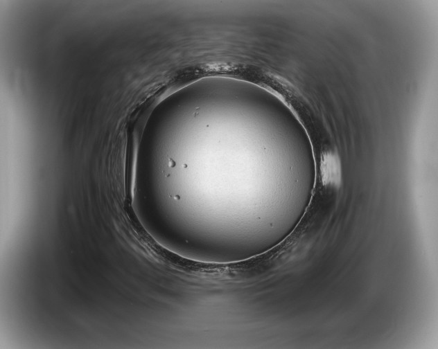 X0000087581444200704271257
