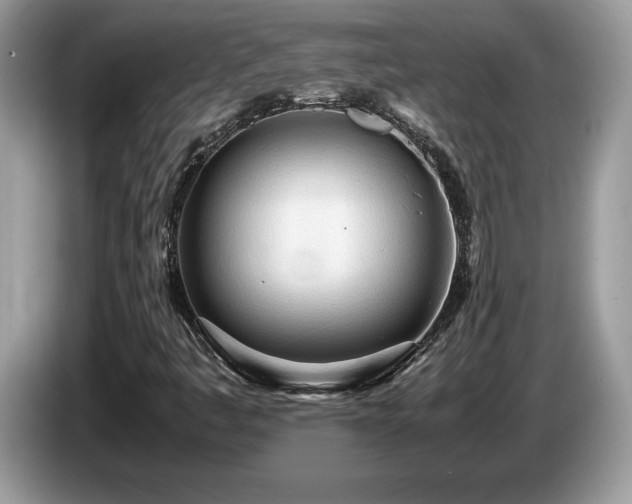 X0000087581445200704271257