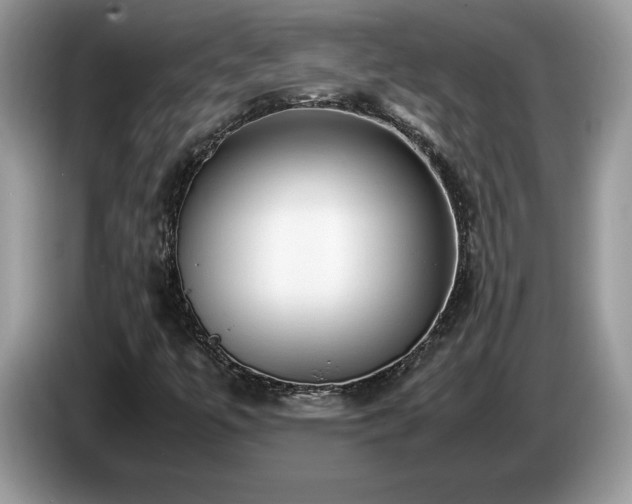 X0000087581447200704271256