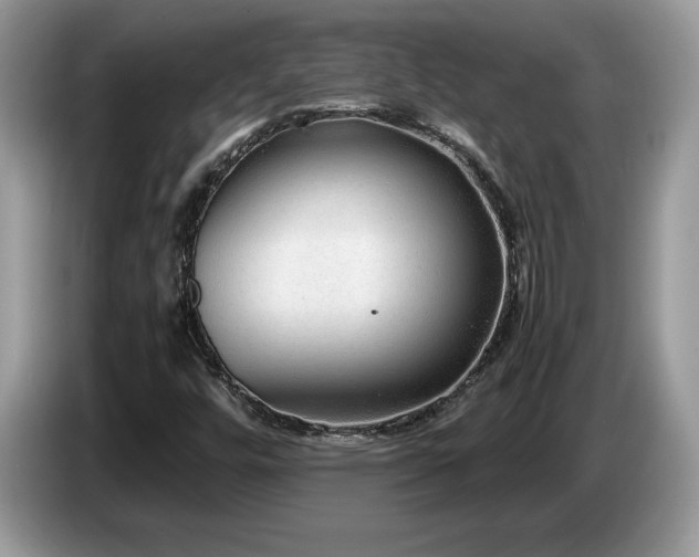 X0000087581448200704271256