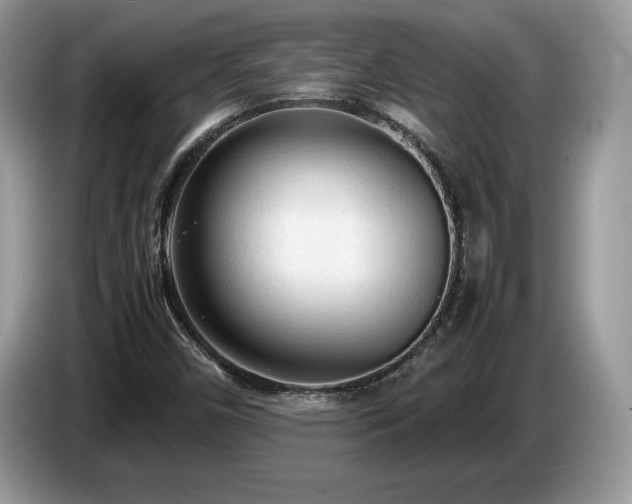 X0000087581450200704271256