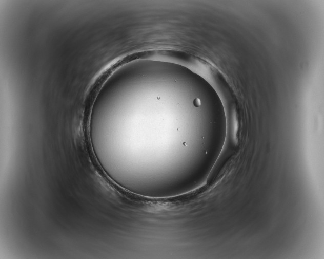 X0000087581452200704271256