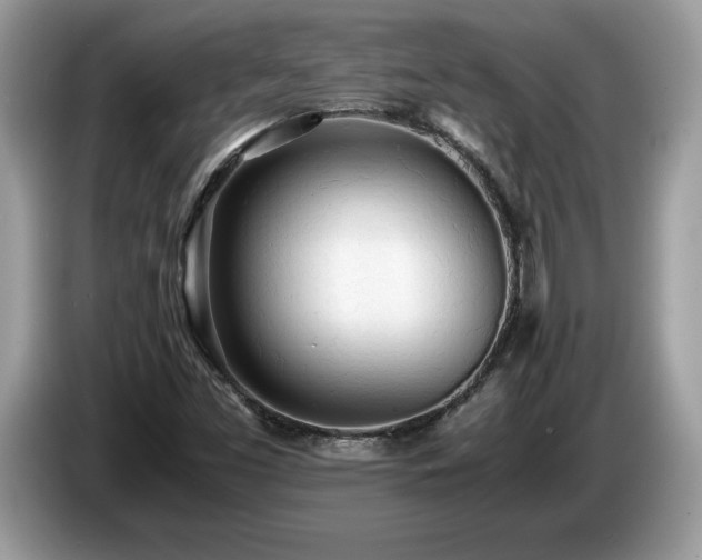 X0000087581453200704271256