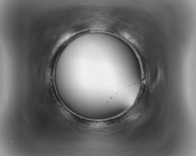 X0000087581454200704271256