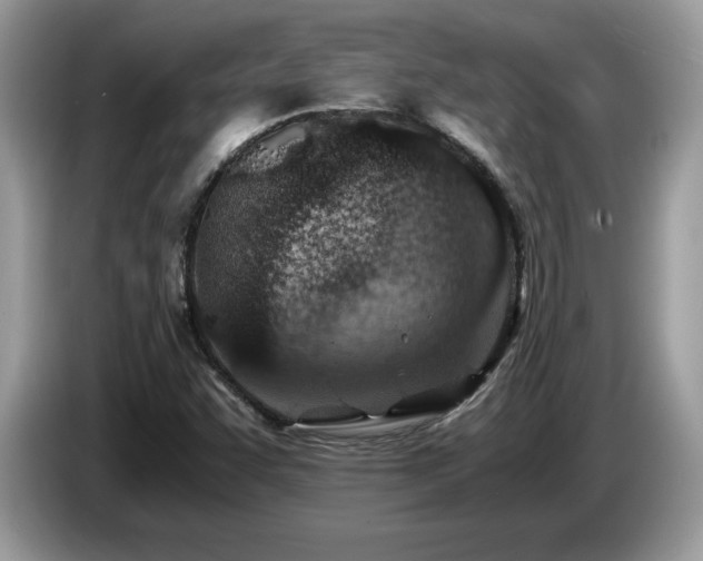 X0000087581455200704271256
